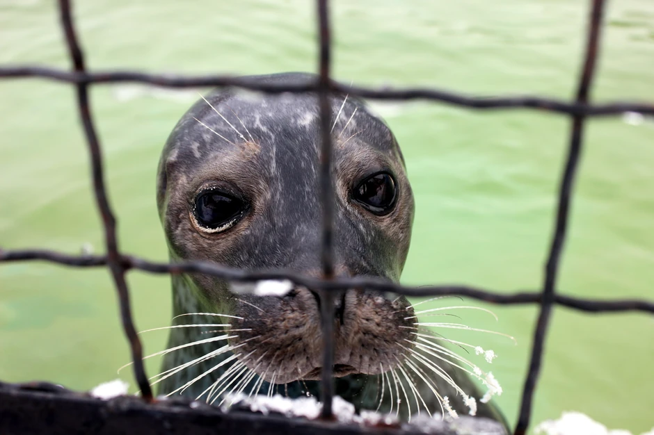 U nedelju u "Blic" poklon vaučer za Zoo vrt u Jagodini