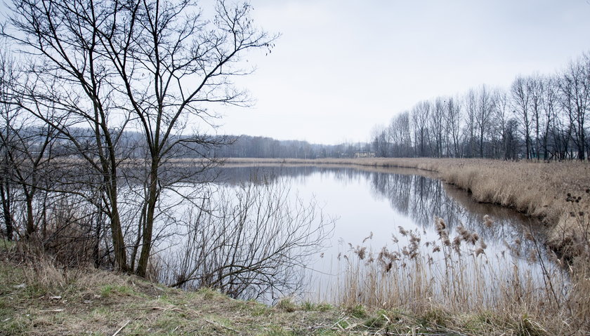 Będzie nowy przetarg na rewitalizacje stawu Kalina