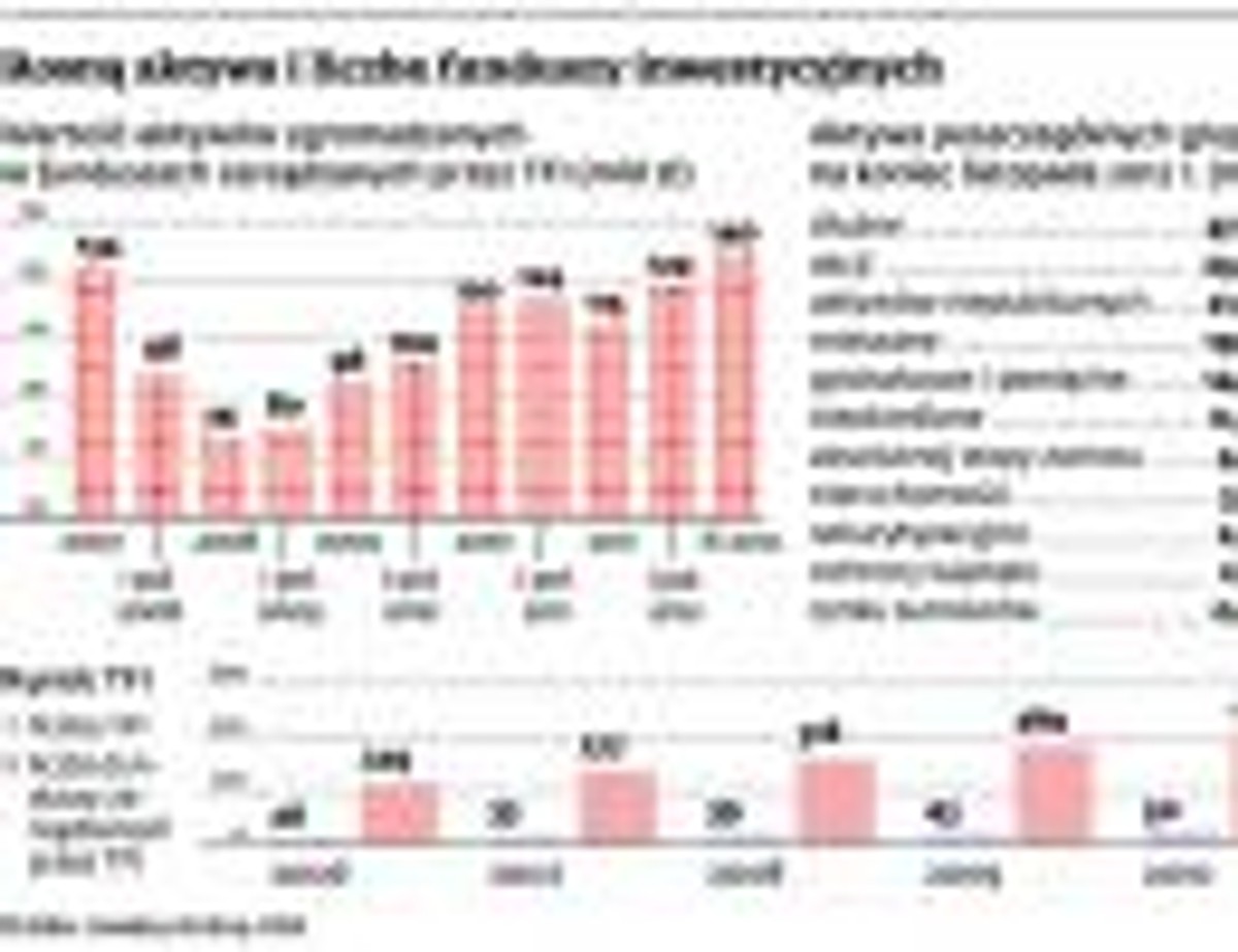 Rosną aktywa i liczba funduszy inwestycyjnych