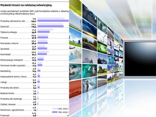 Rynek reklamy: Stacje tematyczne lepsze od potentatów