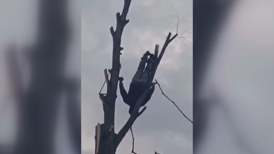 Mića Akrobata iz sela Sikirica kod Paraćina