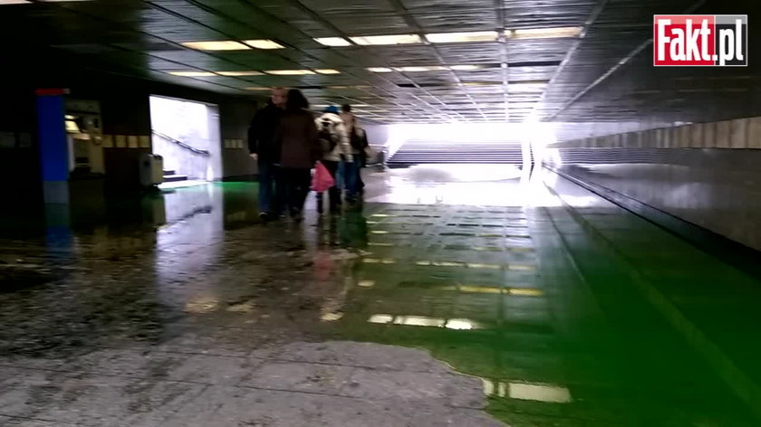 Zielona woda w Przejściu Świdnickim we Wrocławiu