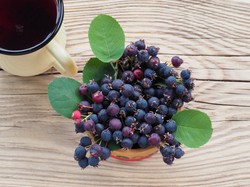 Lubisz borówkę amerykańską? Spróbuj jej następczyni, a nie pożałujesz