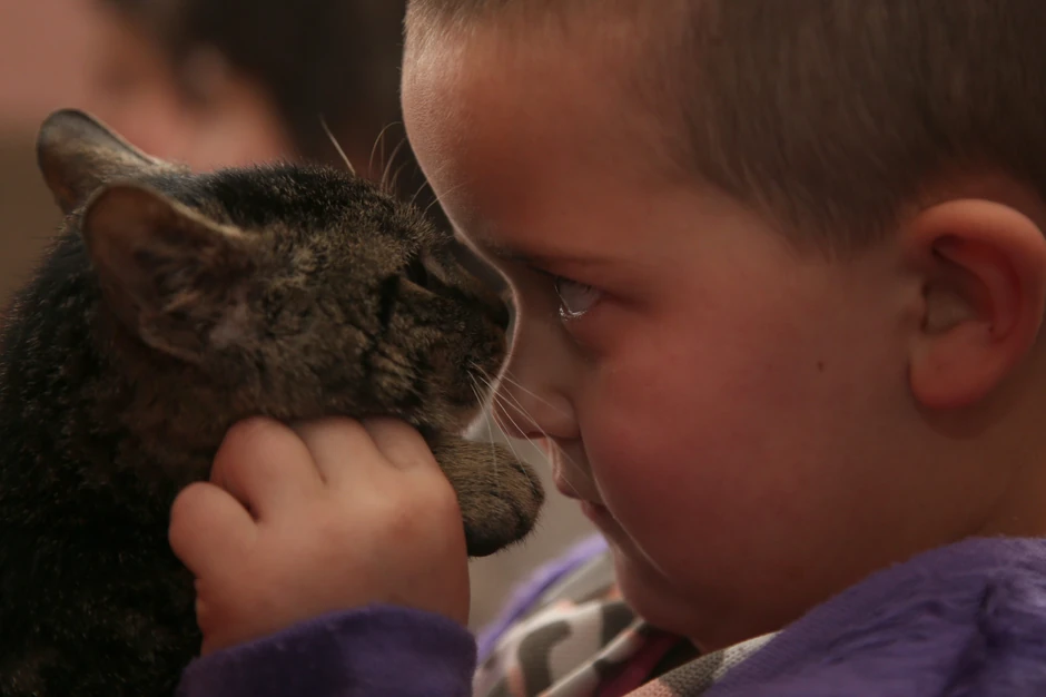 Mališani veoma brinu o životinjama