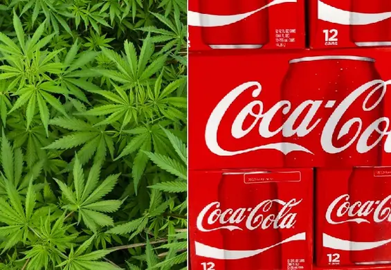 Cherry Coke jest już passé. Coca-Cola chce wprowadzić napój z konopiami