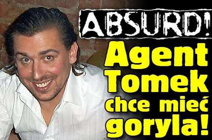 Absurd! Agent Tomek chce mieć goryla! 