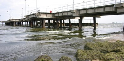 Zamknięte plaże w Gdyni! Alarm w Trójmieście