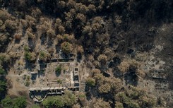 W Turcji rozbił się rosyjski samolot gaśniczy Be-200. Nikt nie przeżył