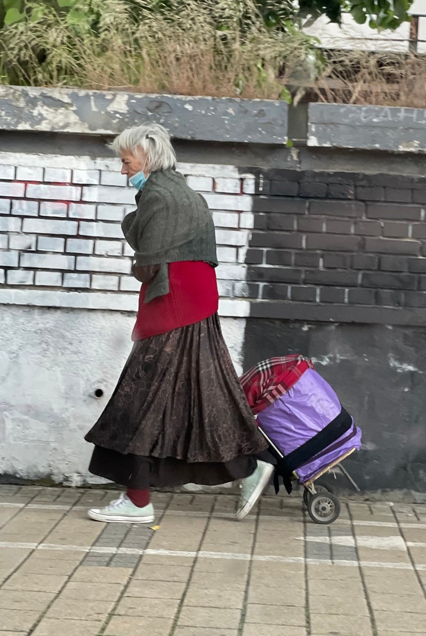 Vesna Pećanac danas