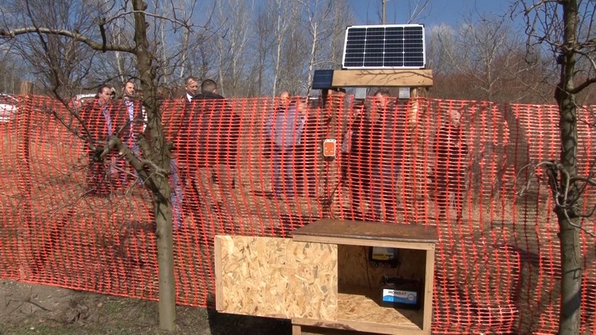 Prvi električni pastiri u Kupusini