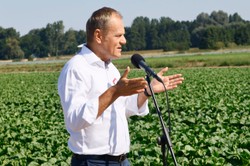 Tusk o obniżce stóp procentowych: Może podobać się kredytobiorcom, ale...