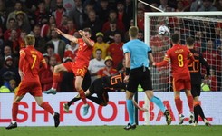 Liga Narodów. Triumf Holandii w meczu grupowych rywali Polaków