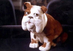 182125_0608-cercil-pas