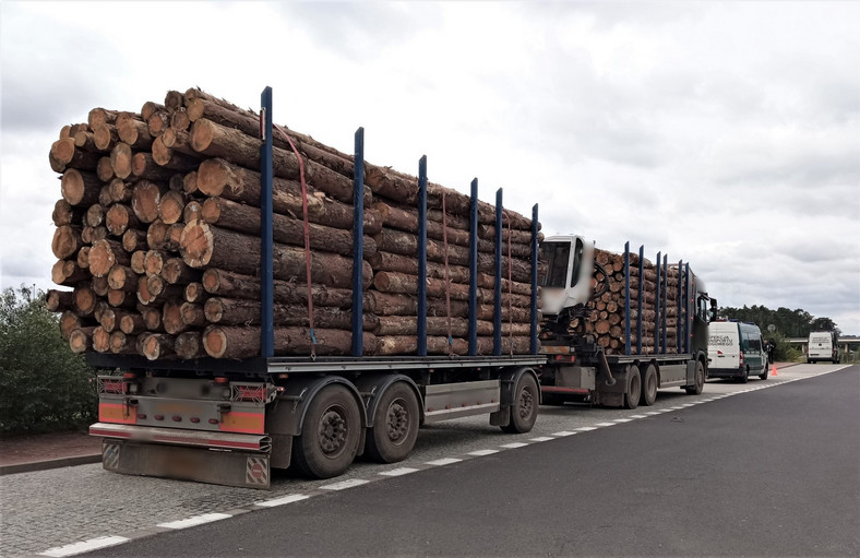 Transport kłód drewna nie spełniał standardów kontrolerów z ITD