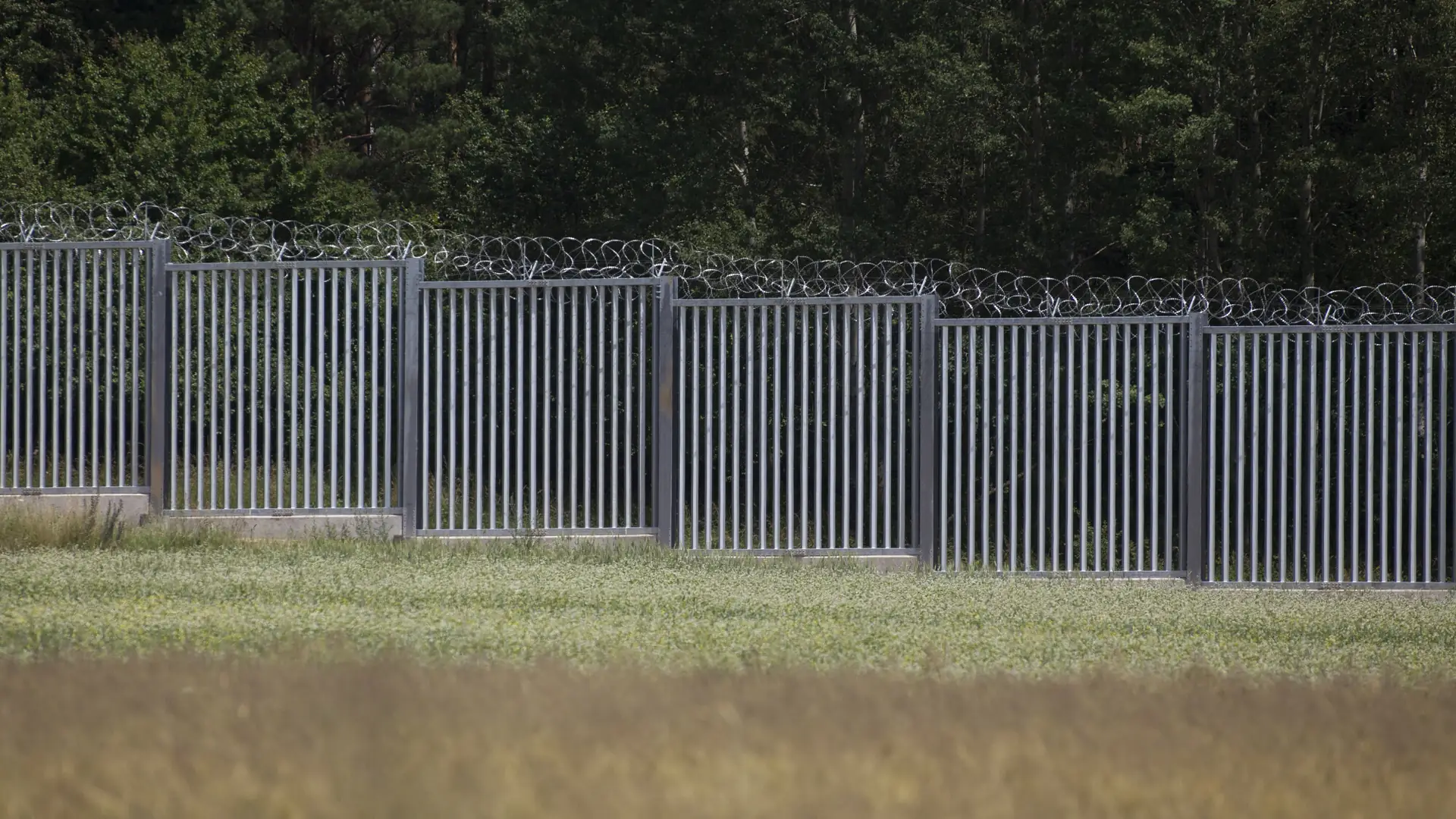 Mur na polsko-białoruskiej granicy chroni przed jej przekraczaniem? Nagrania pokazują, że to fikcja