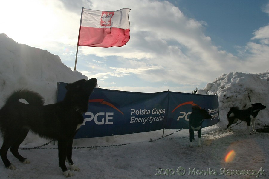 W dniach 26-27 lutego 2010 r. odbyły się Mistrzostw Świata WSA