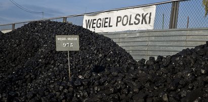 Nowa kopalnia w Polsce. A miała tam być atomówka