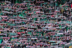 Stadion będzie pękał w szwach. Bilety na mecz Śląsk – Raków wyprzedane