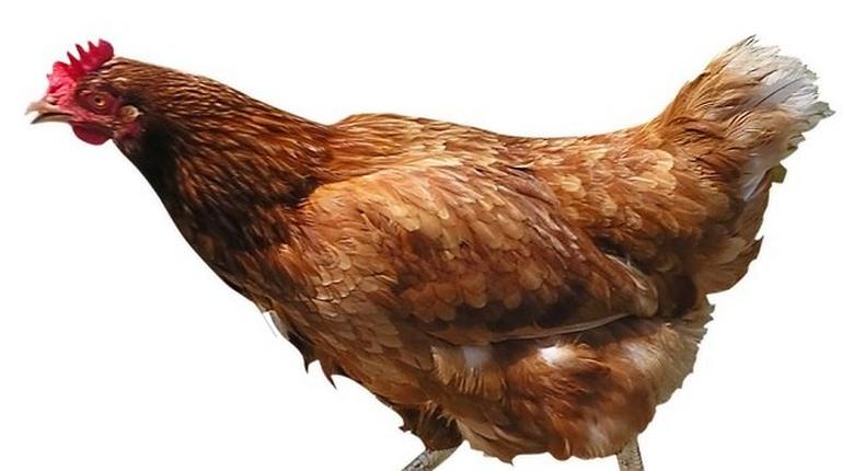 A man killed his neighbour over Xmas chicken