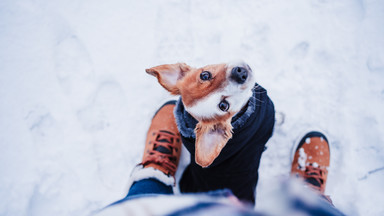 Idealne buty trekkingowe, na co zwrócić uwagę przy wyborze