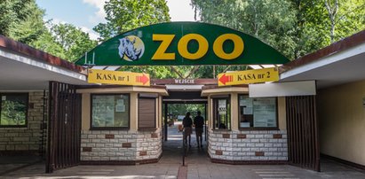 Wielkie zmiany w Zoo. Bilet przez internet i aplikacja na telefon!