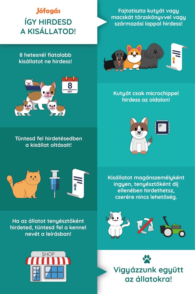A Jófogás kitiltotta oldaláról az állatszaporítókat