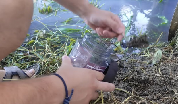 Eksperiment sa kanalizacijom