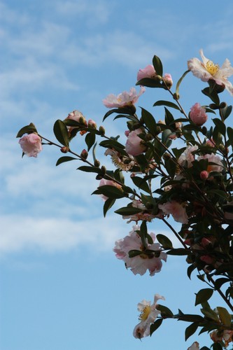 Wyspa Jeju i jej atrakcje