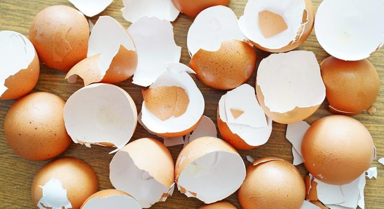 Eggshells(sciencing)