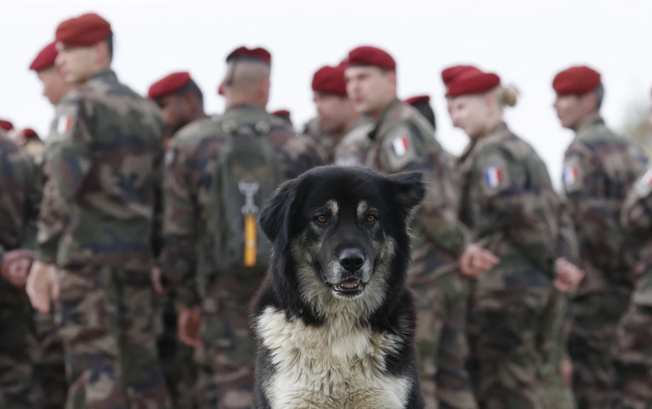 Francuska vojska u NATO bazi kod sela Činku