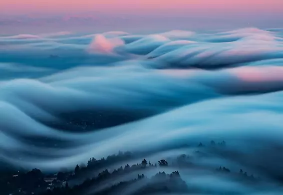 Spójrz na te bajkowe zdjęcia i przekonaj się, jak piękna może być mgła