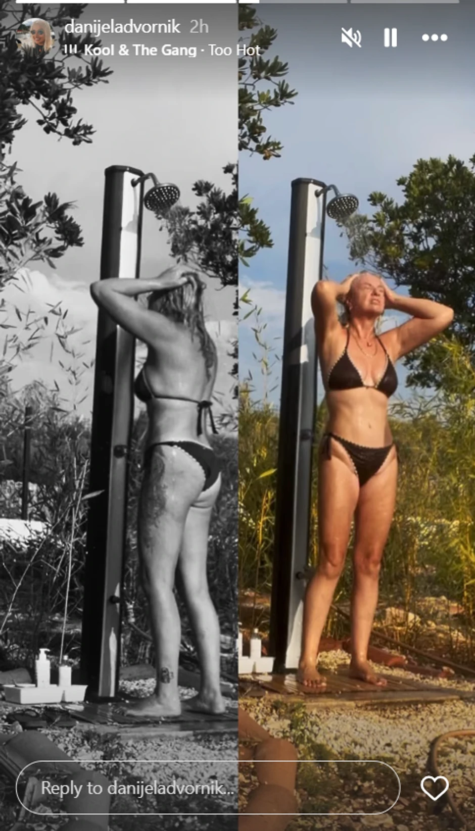 Danijela Dvornik u bikiniju 