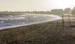 Makabra na plaży! Nudysta wściekł się na ekshibicjonistę za nieprzyzwoite zachowanie! Jeden z nich był myśliwym i miał przy sobie broń...