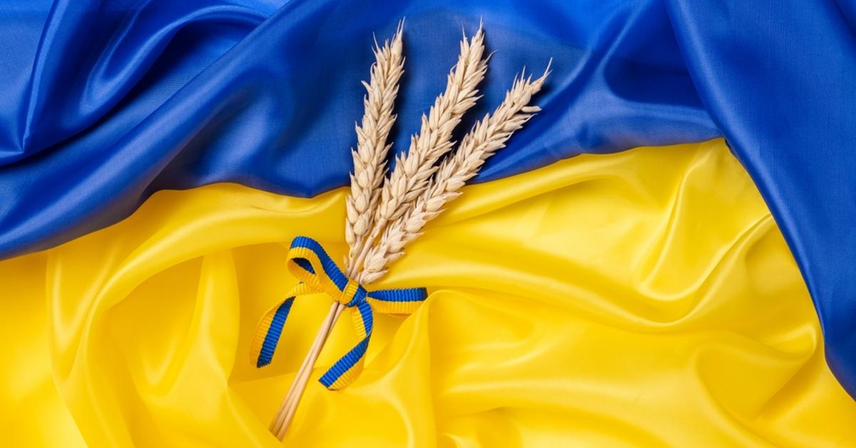 România și Ucraina ajung la un acord de cooperare în exportul de produse alimentare ucrainene