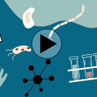 Így igazodhat el könnyen a hazánkban elérhető szűrővizsgálatokban - videó