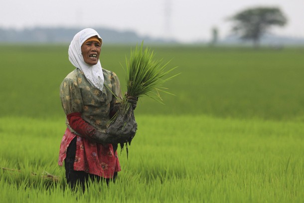 INDONESIA