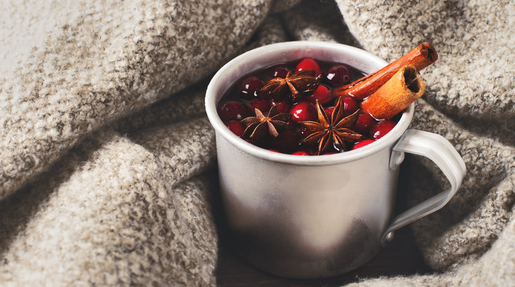 Forralt bor karácsonyi recept / Fotó: Shutterstock