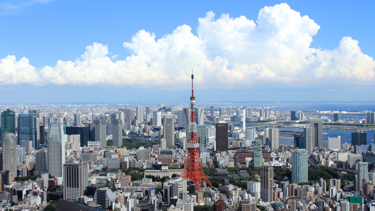 Japonia: Amoniak jako paliwo ma pomóc w zmniejszeniu emisji CO2