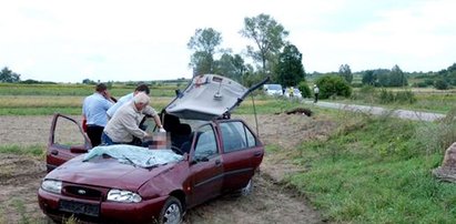 Łoś zabił człowieka. FOTO