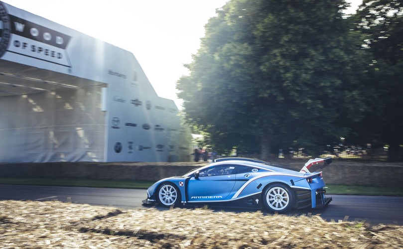 Arrinera hussarya GT