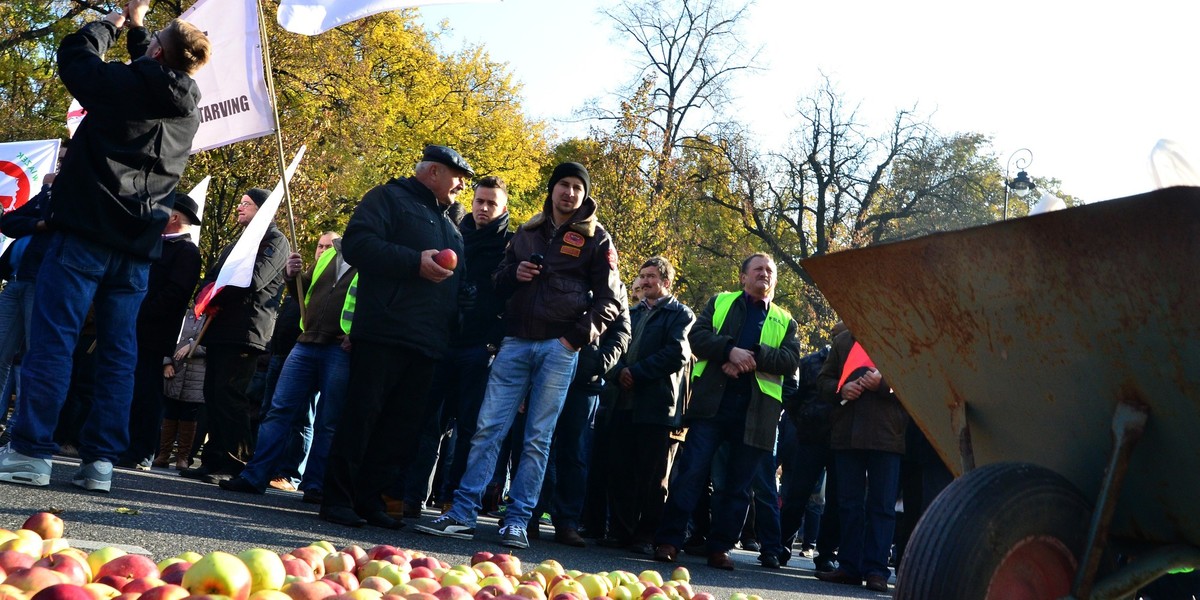 Urząd Ochrony Konkurencji i Konsumentów sprawdził, ile na warzywach i owocach zarabiają producenci, pośrednicy i sieci handlowe.