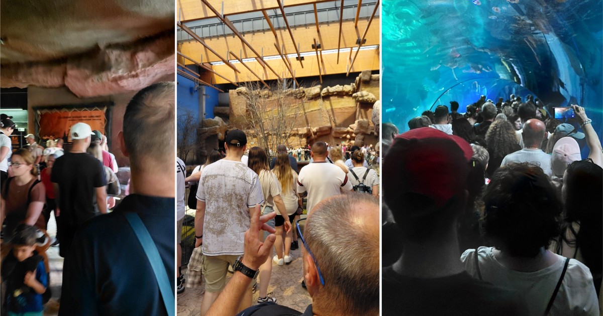Chaos w zoo we Wrocławiu: Tłumy turystów sparaliżowały ogród