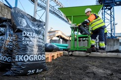 Ceny ekogroszku w styczniu 2024. Ile kosztuje opał z polskich kopalni?
