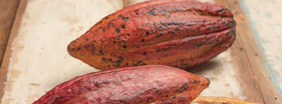 Kakao jest najmocniej drożejącym surowcem tego roku