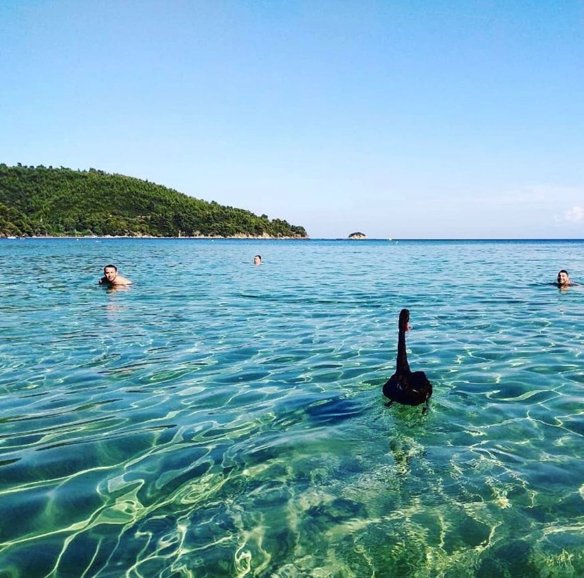 Na plaži "Kukunares" moguće je videti flamingose i labude, koji zbog manjeg broja ljudi slobodno prilaze