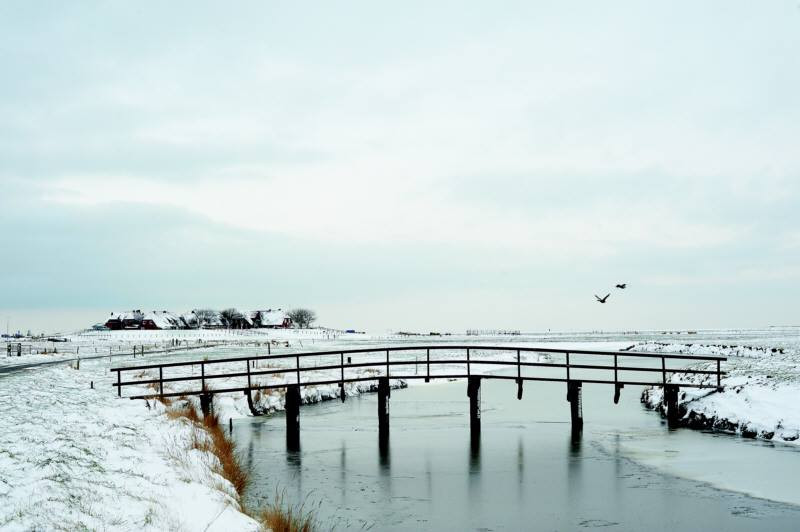 Wyspa Hallig Hooge, Niemcy