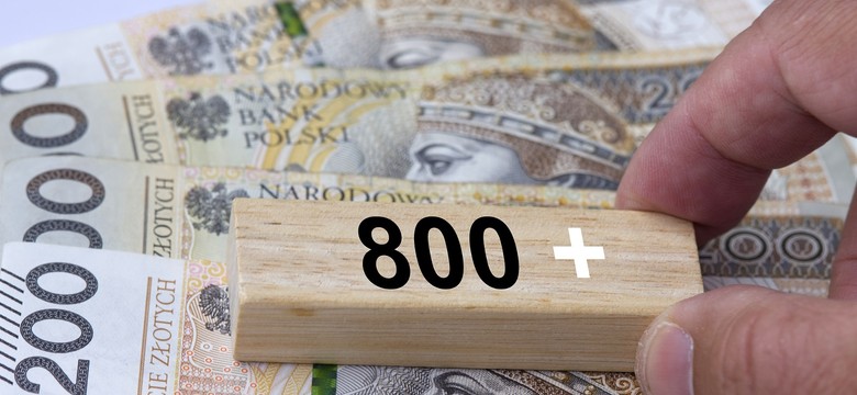 Ważne i poważne zmiany w 800 plus 2025. Te rodziny niedługo stracą prawo do świadczenia 800 plus