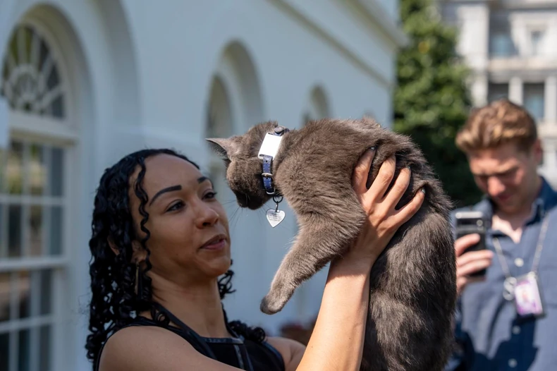 mačka Sofi iz Bele kuće