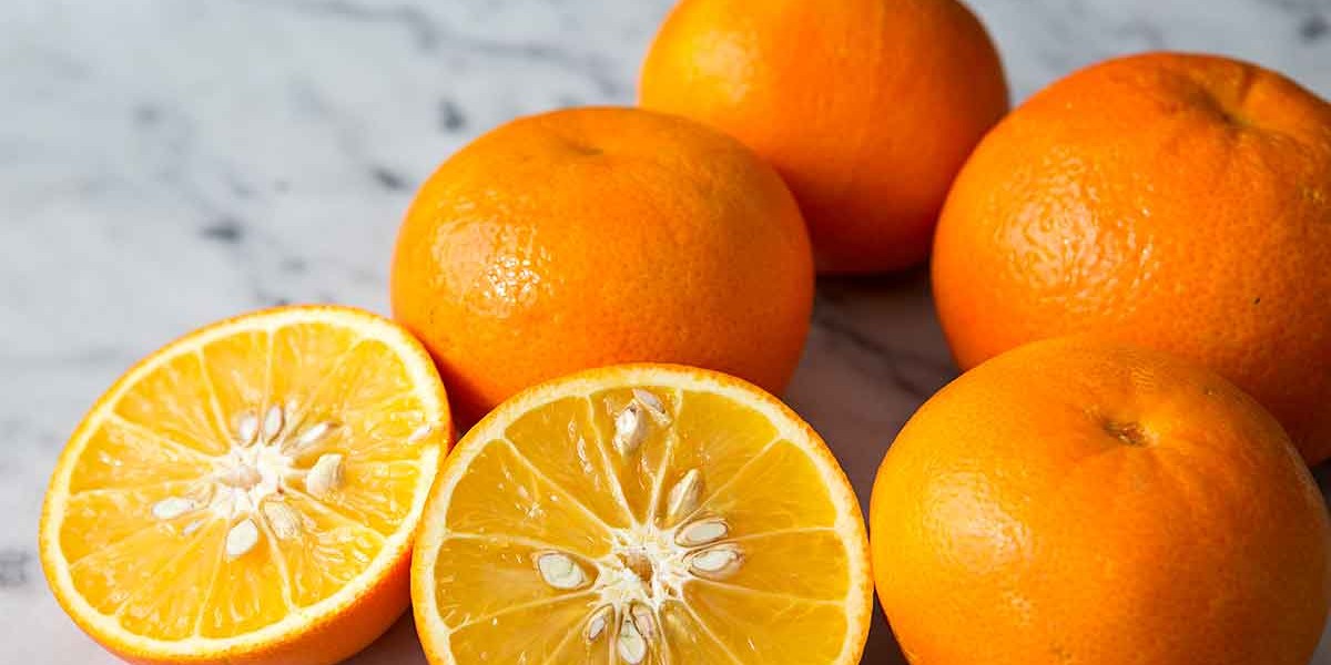 4 reasons why you should consider eating orange seeds Latest Ghanaian