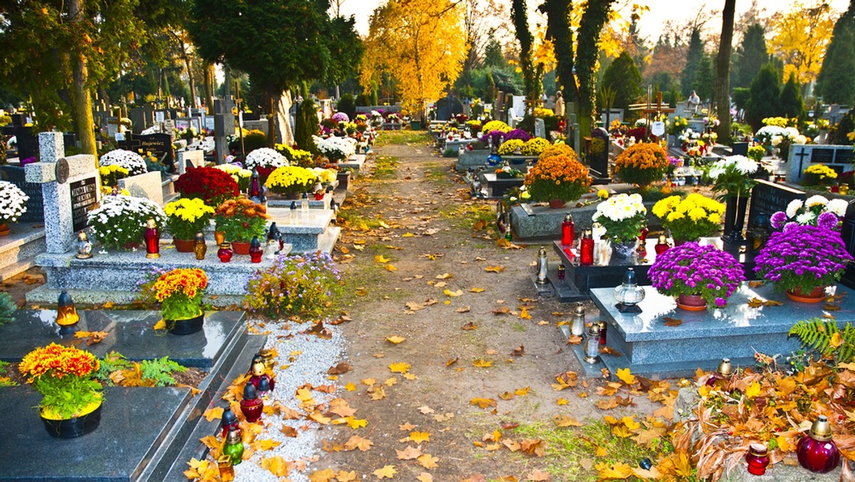 Do ośmiu lat więzienia grozi 67-latce, która na jednym z łódzkich cmentarzy kradła z grobów znicze. Policjantom powiedziała, że kupiła je w cenach hurtowych od znajomej.